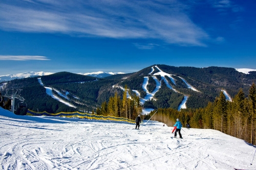 Отдых в Карпатах в комплексе Лаванда Country Club