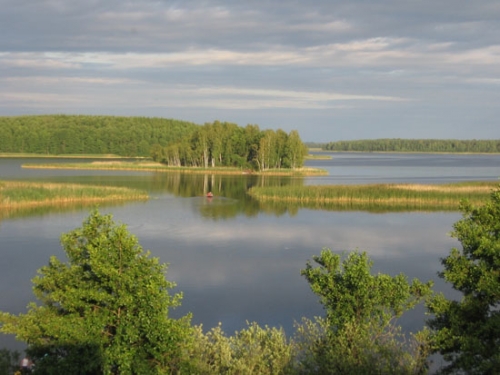 Лучшее лето