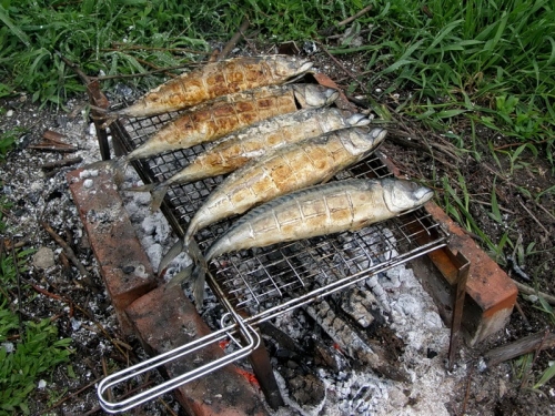 Шашлык из свежей рыбы