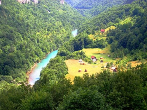 Каньон реки Тара
