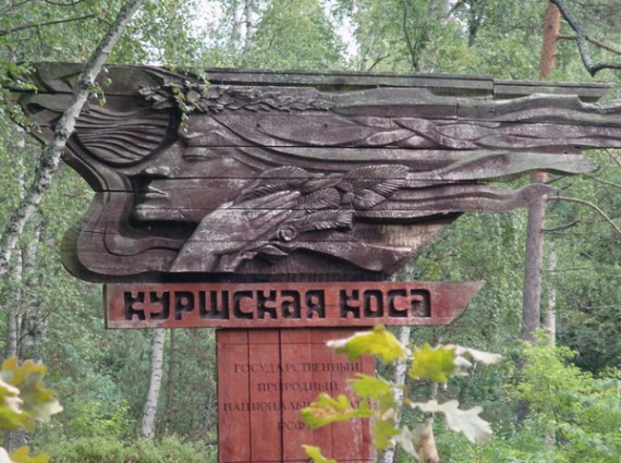 Национальный заповедник Куршская коса